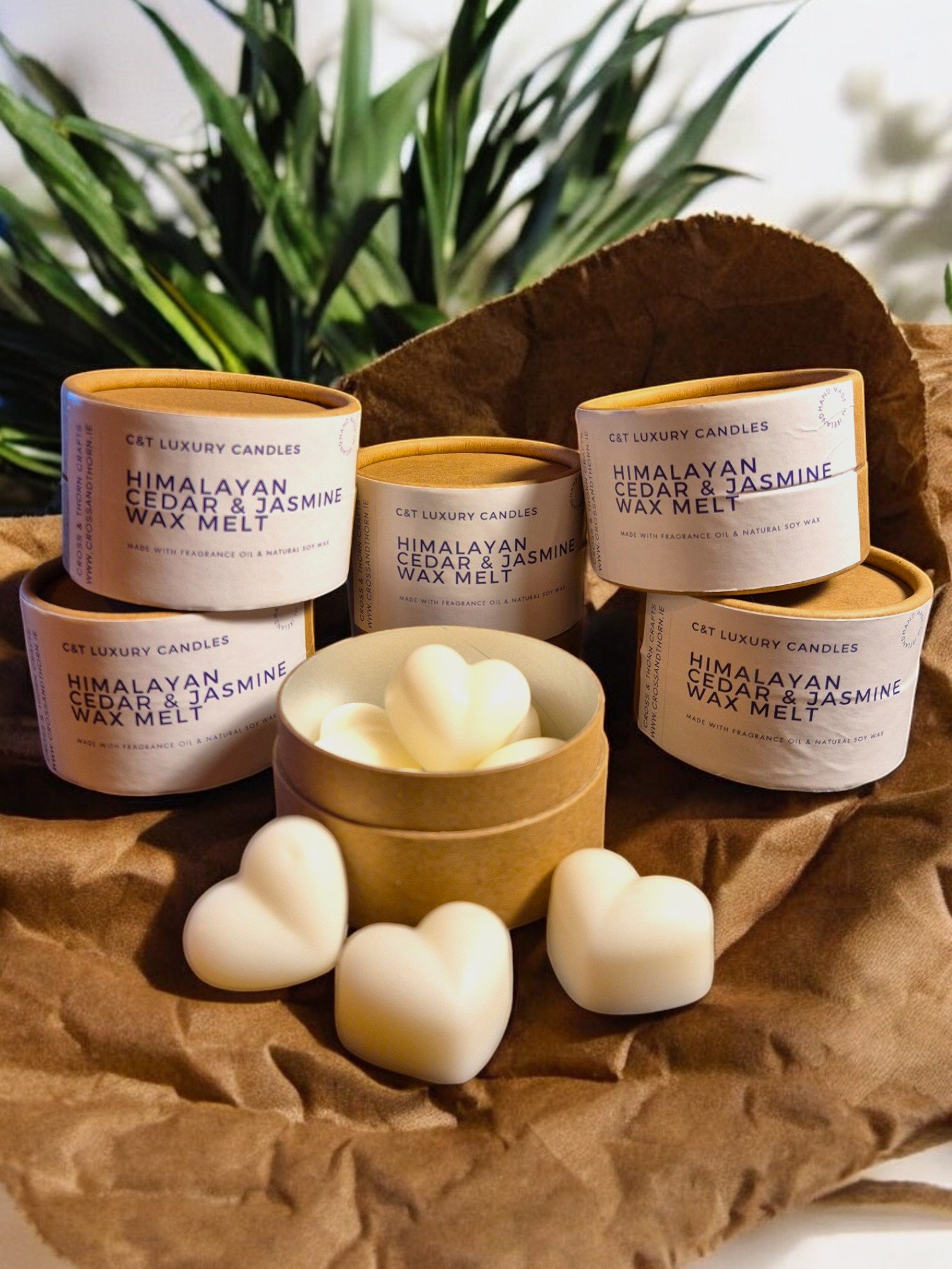 Himalayan Cedar & Jasmine Wax Melt Box