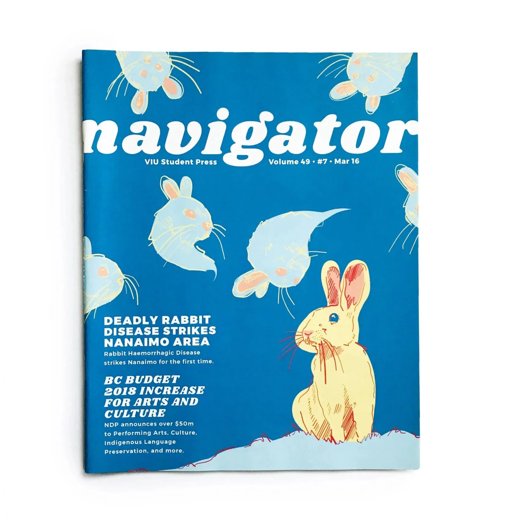 Nav_Rabbit.jpg