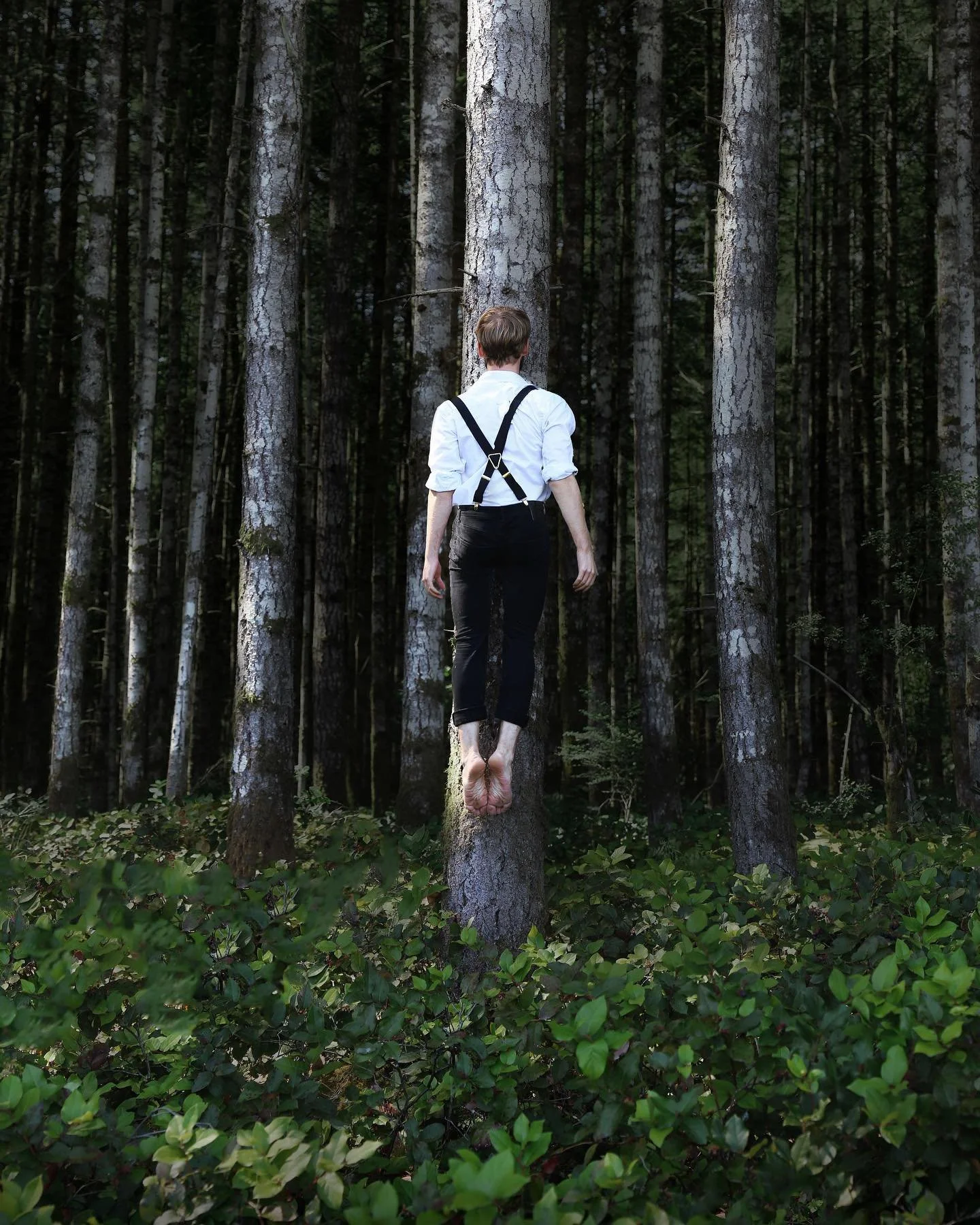 Happy Spooky Season! 🎃🦇 I&rsquo;ve wanted to create this photo since 2015. And when I tried to create it back then I failed. Miserably. But leave learned a lot between now and then. I originally bear climbed up the tree. And those bushes were waist