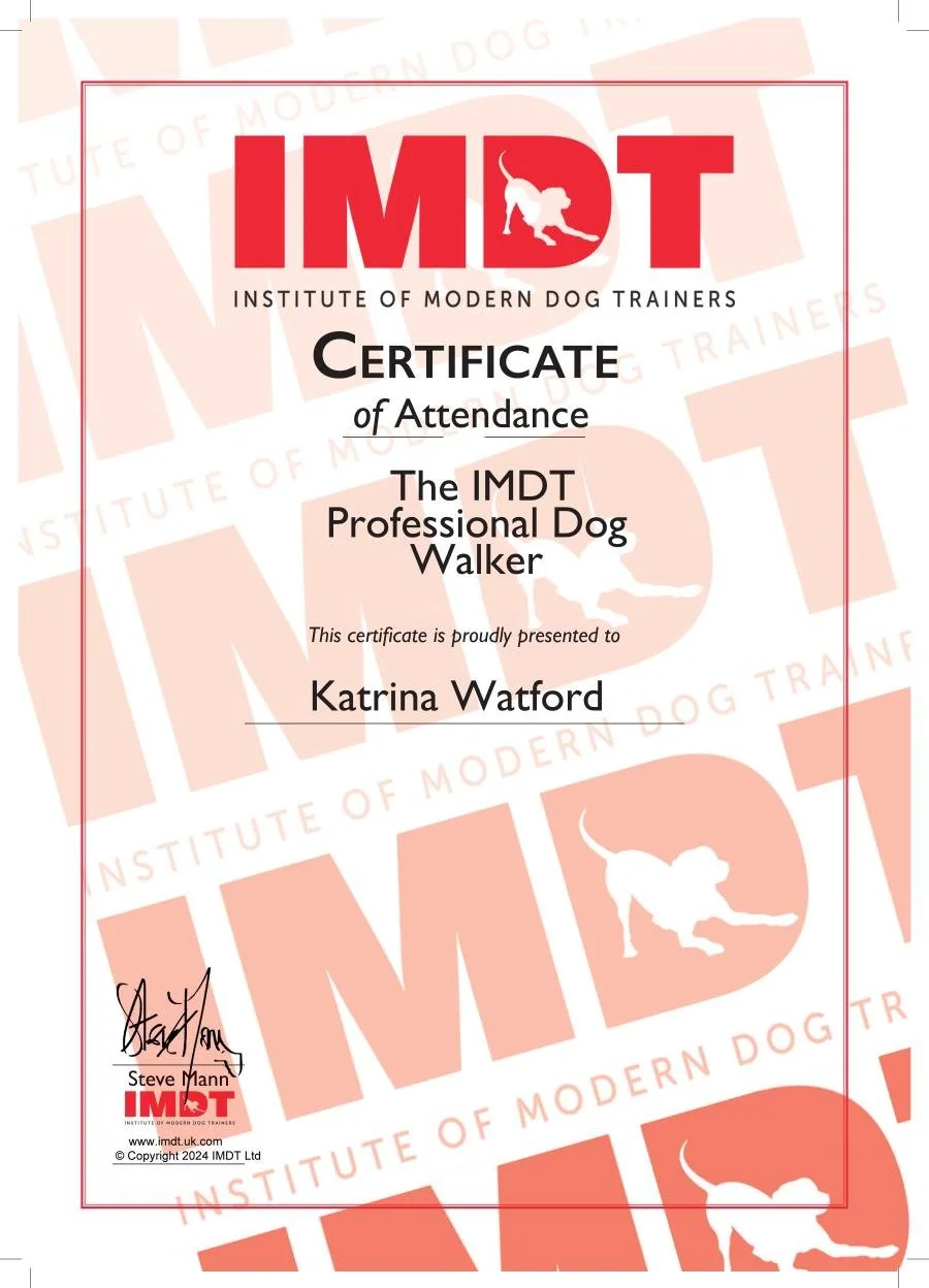 K2 IMDT certificate.JPG
