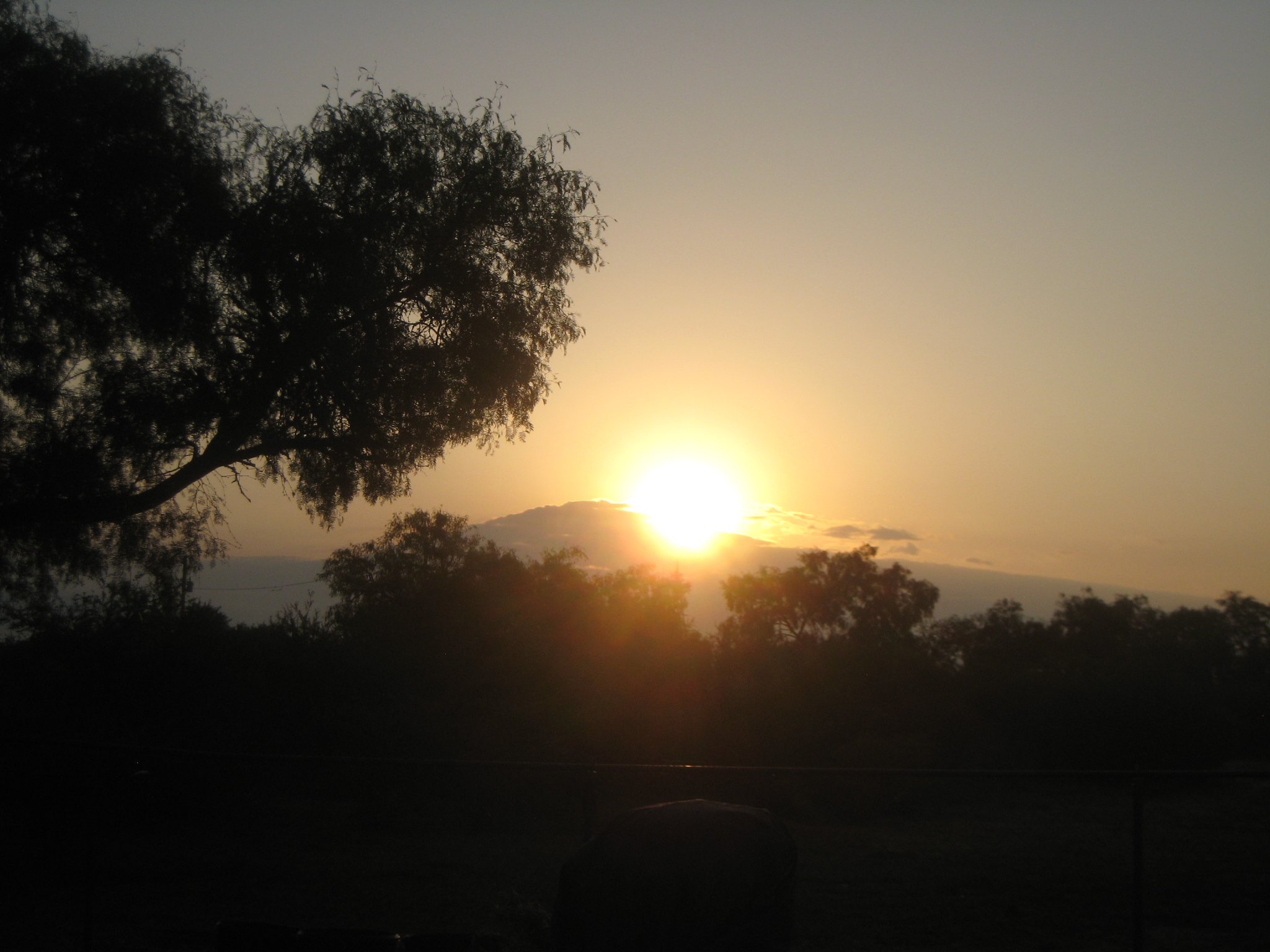 FRAPA Board Meeting - Work Day