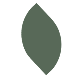 A simple dark green leaf with a smooth edge and pointed tip.