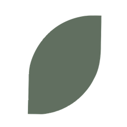 A simple, stylized leaf icon with a dark green color and a smooth, curved shape.