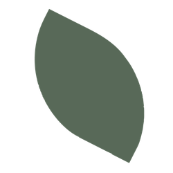 A close-up of a single green leaf with a smooth edge