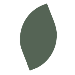 A simple black-and-white outline of a single leaf with a curved shape.