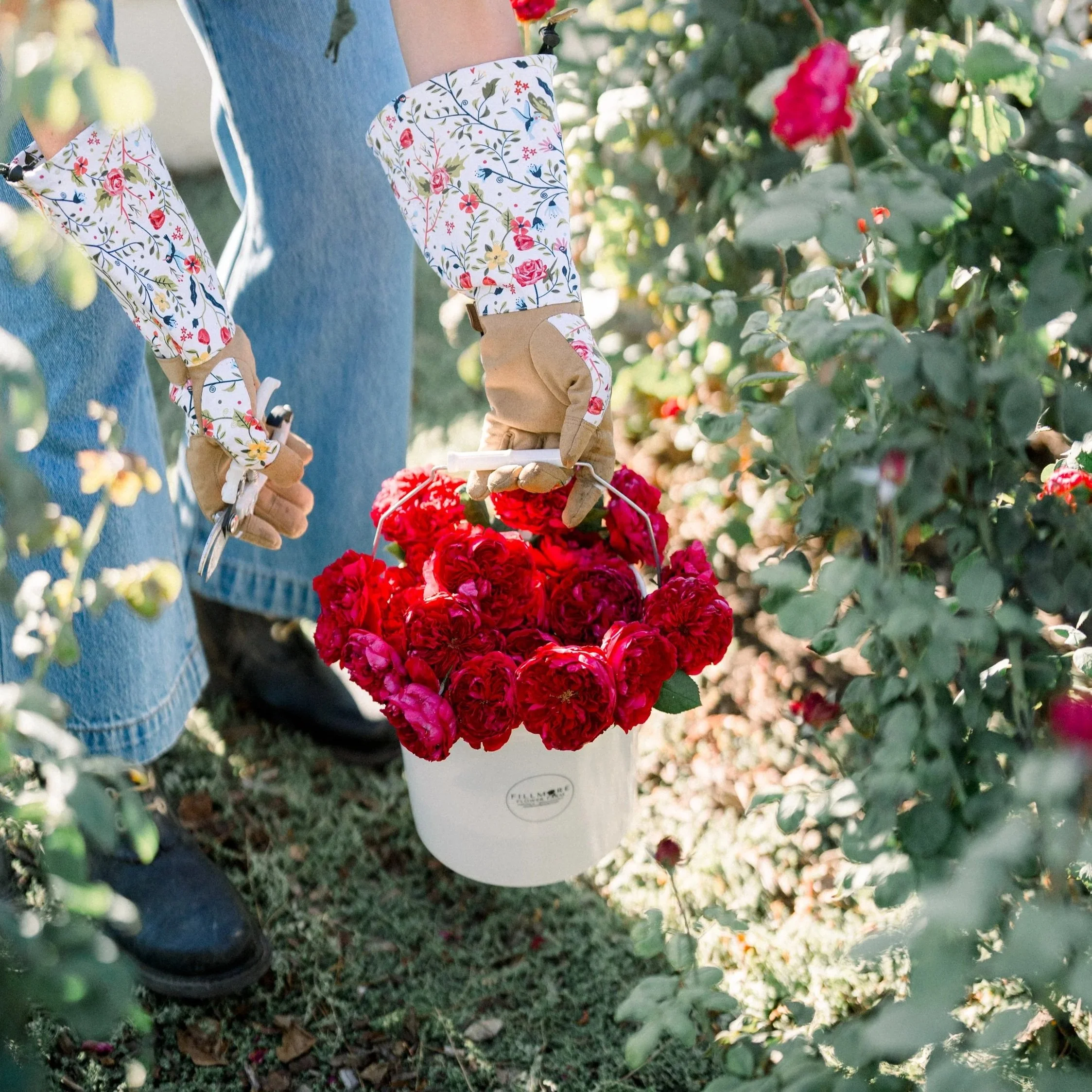 FillmoreFarmsBranding-60.jpg