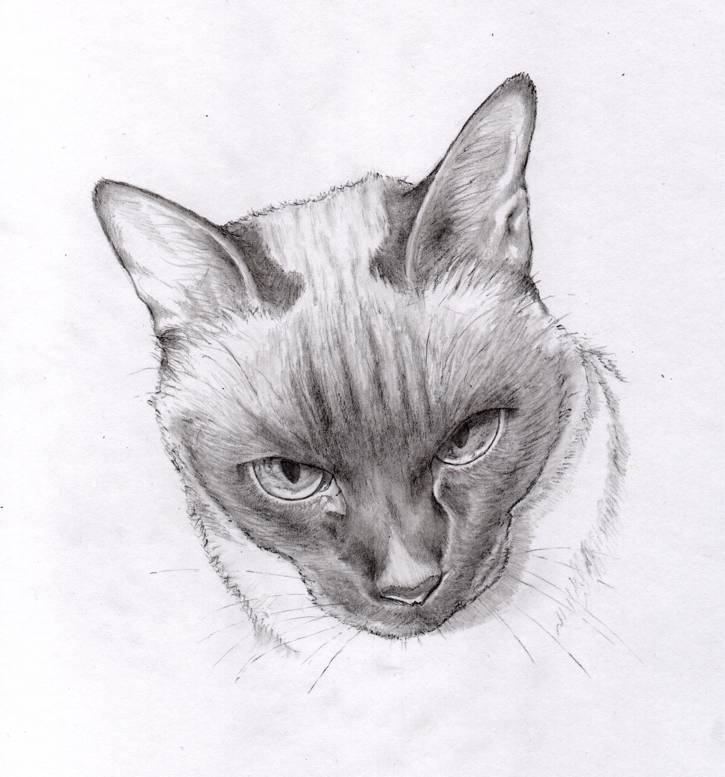 Skippy
