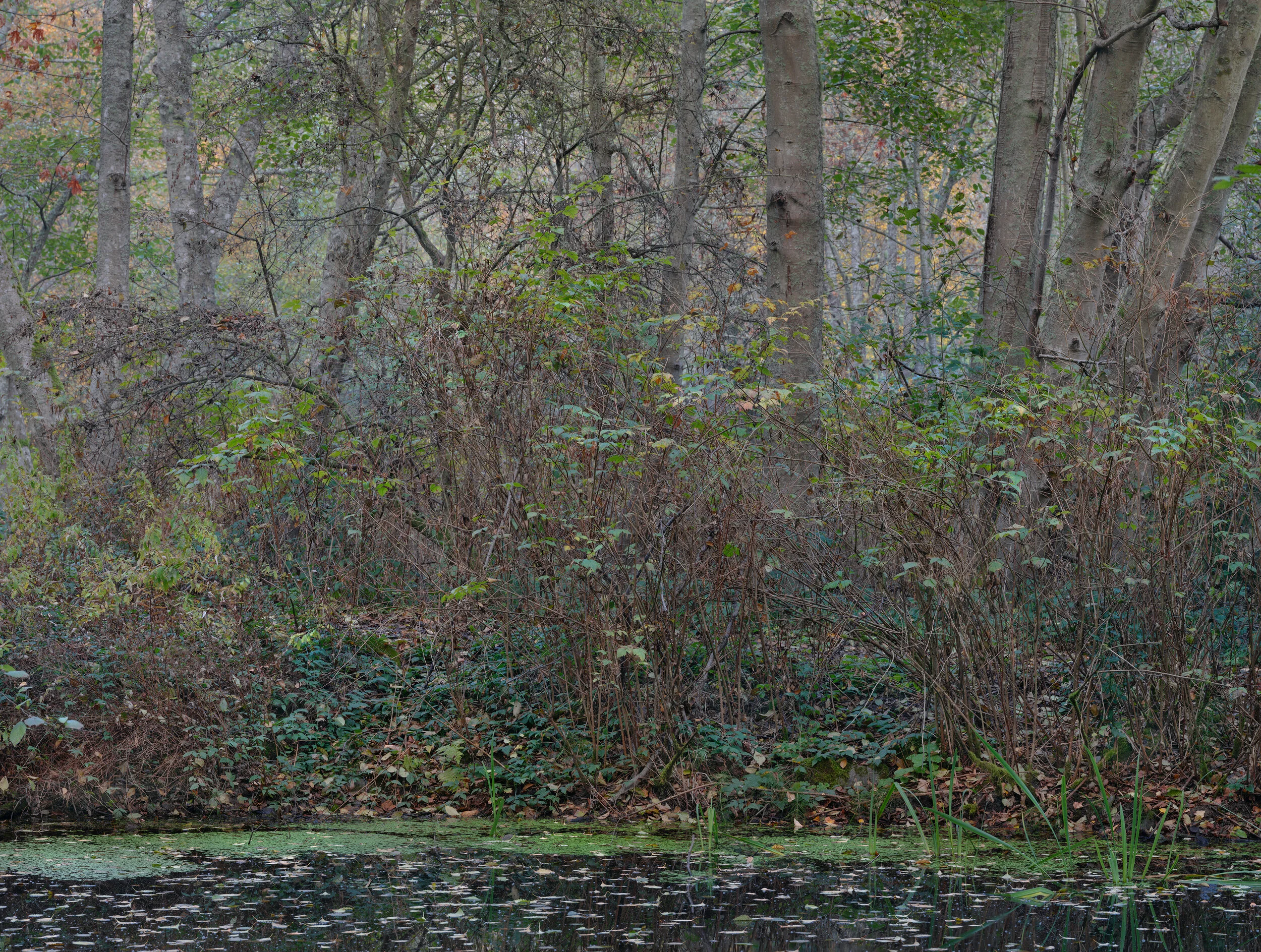 JDA0764_dp Panorama copy.jpg