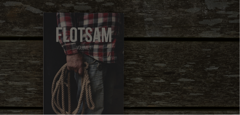 Flotsam Volume 1 held against weathered wood, placeholder
