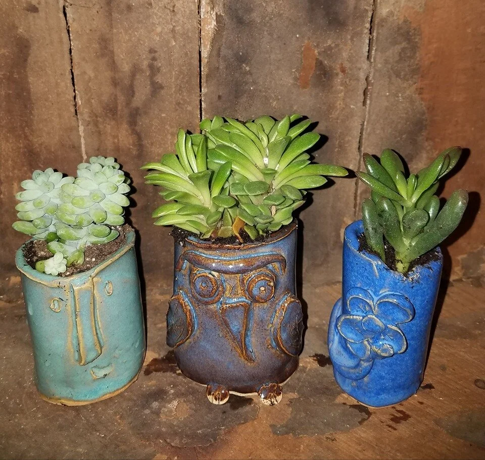 Succulent Planters
