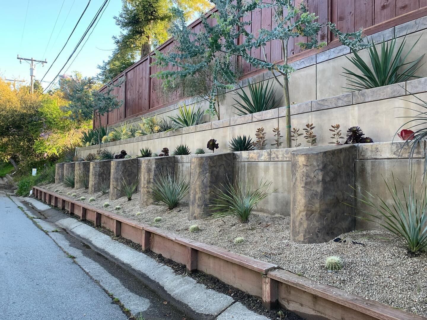 A completed decorative stamped retaining wall! A retaining wall can be incorporated into your landscape design and or be used for privacy on your property!

Call us today! 831-475-4499

#santacruz #capitola #aptos #watsonville #concrete #construction