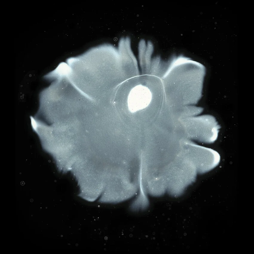 Occurrence 6