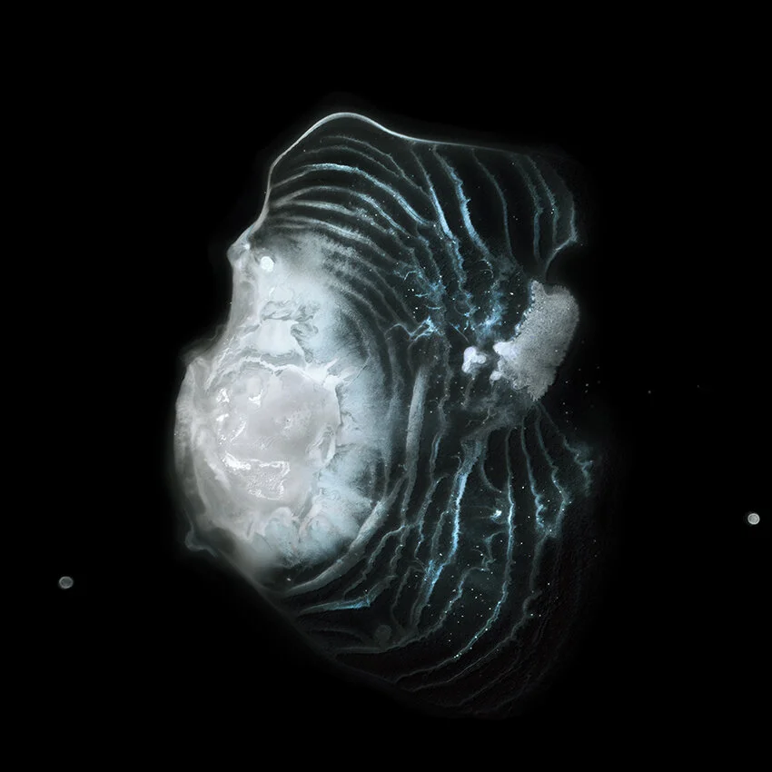 Occurrence 15