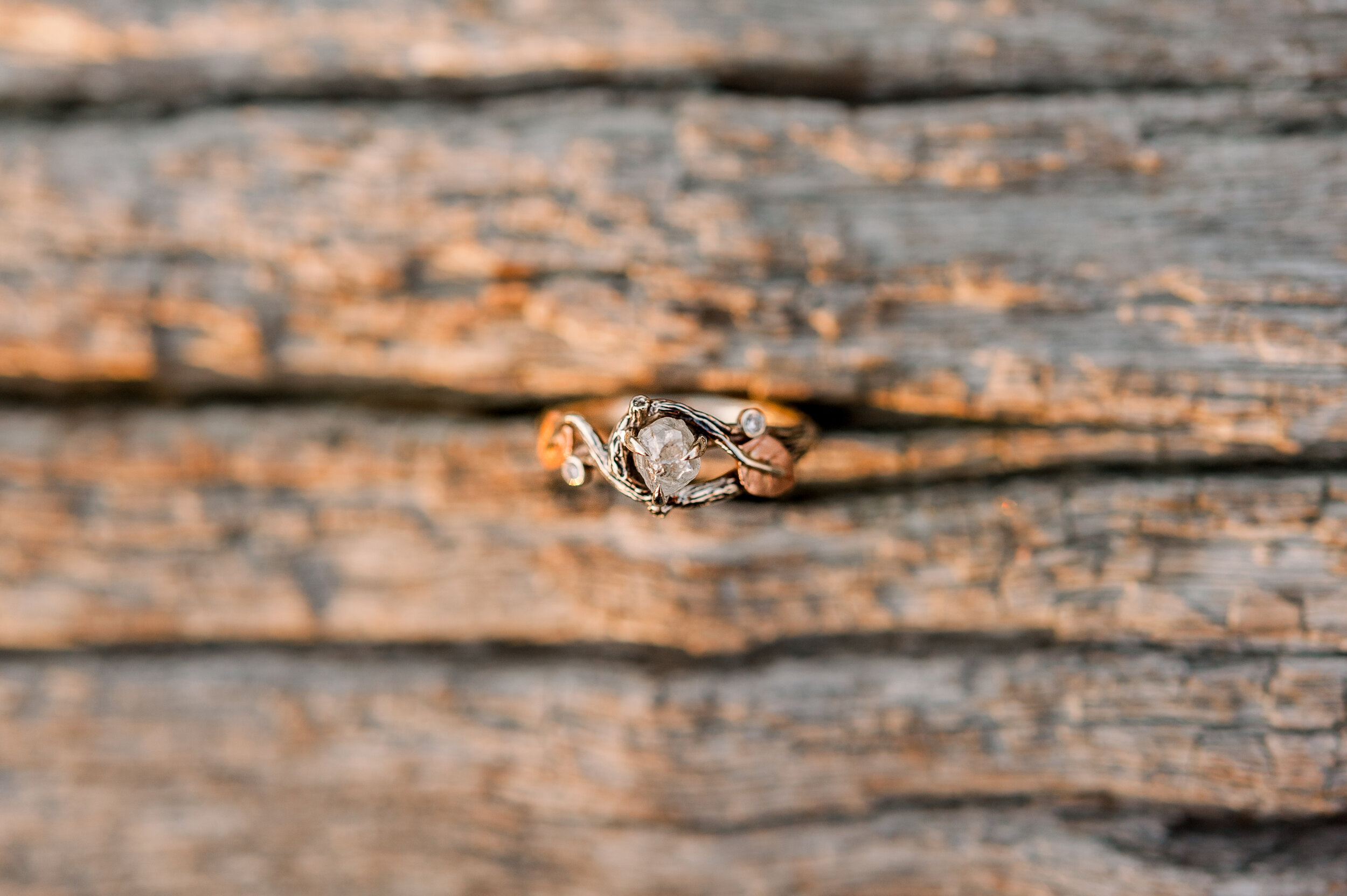 LinseyMiddletonPhotography-80.jpeg