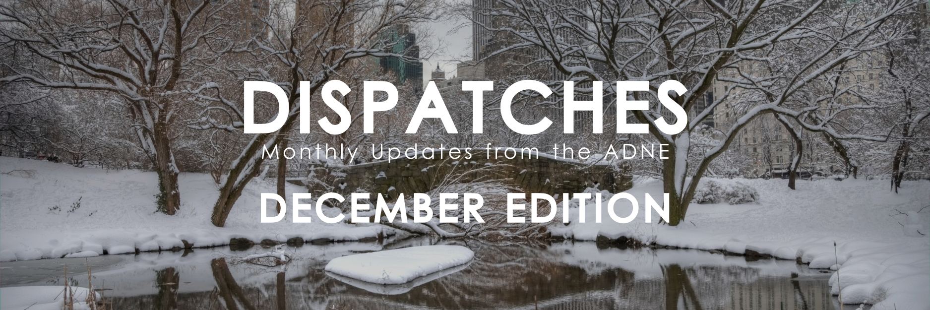 December Dispatches