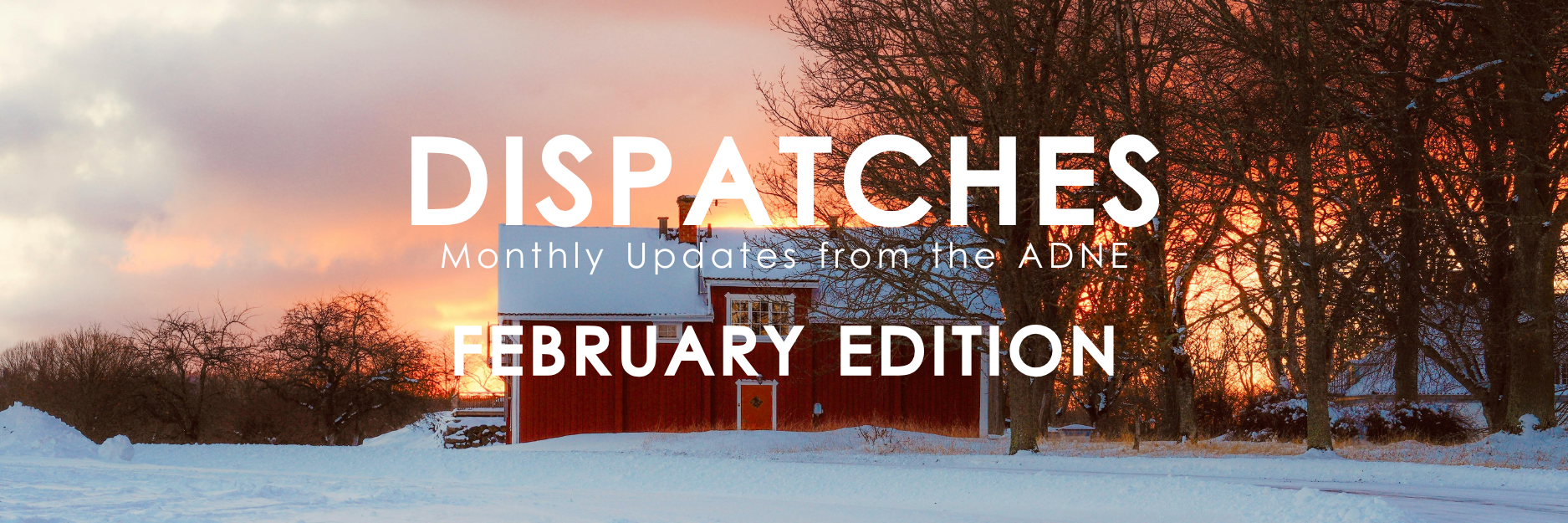 February Dispatches