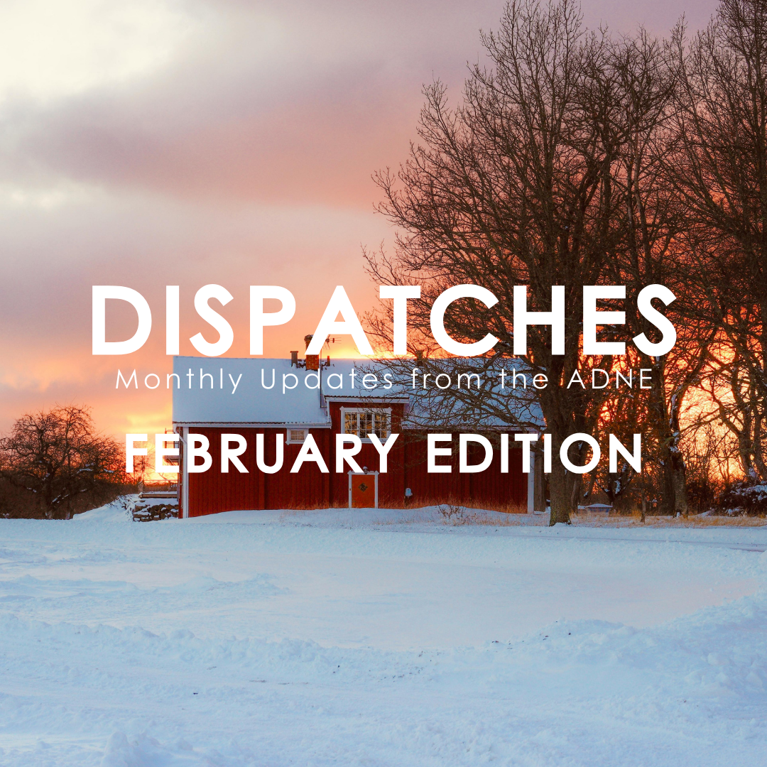 February Dispatches