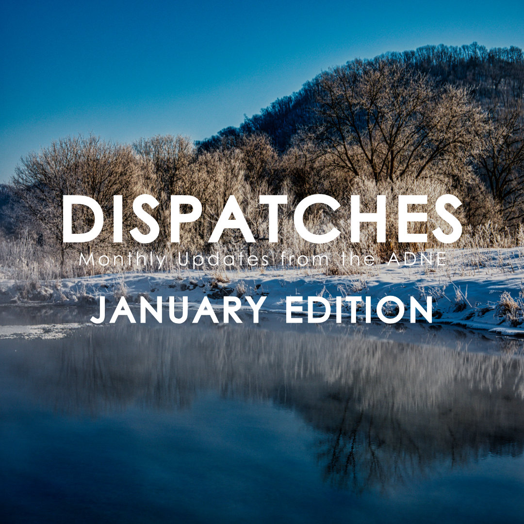 January Dispatches
