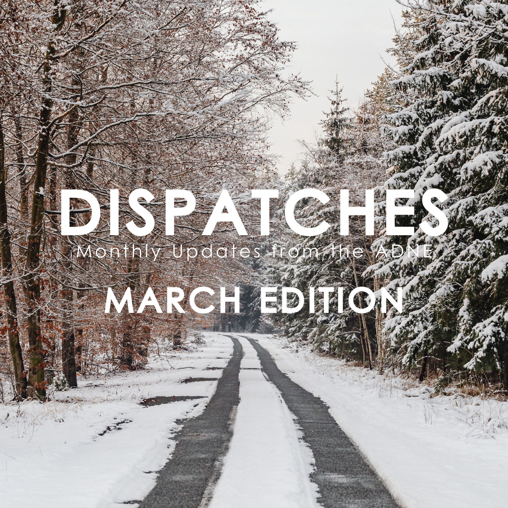 March Dispatches