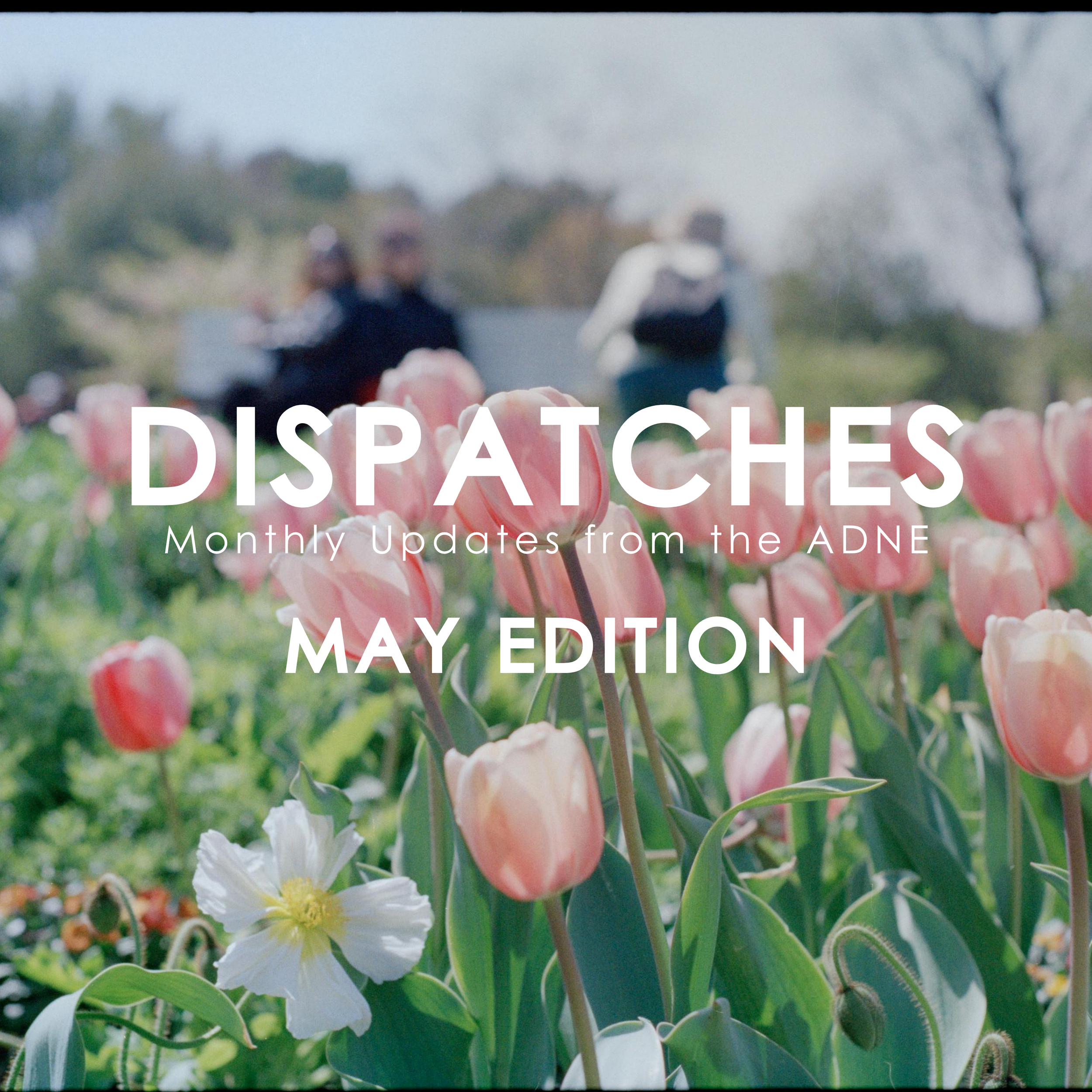 May Dispatches