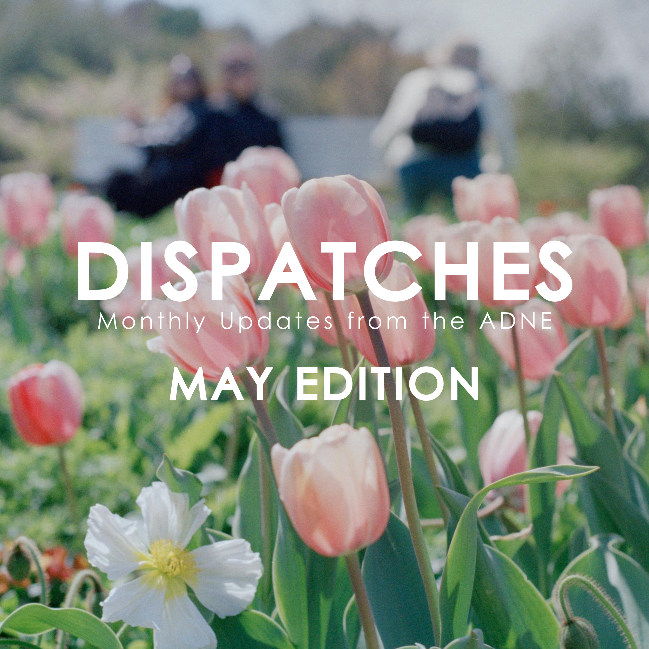 May Dispatches