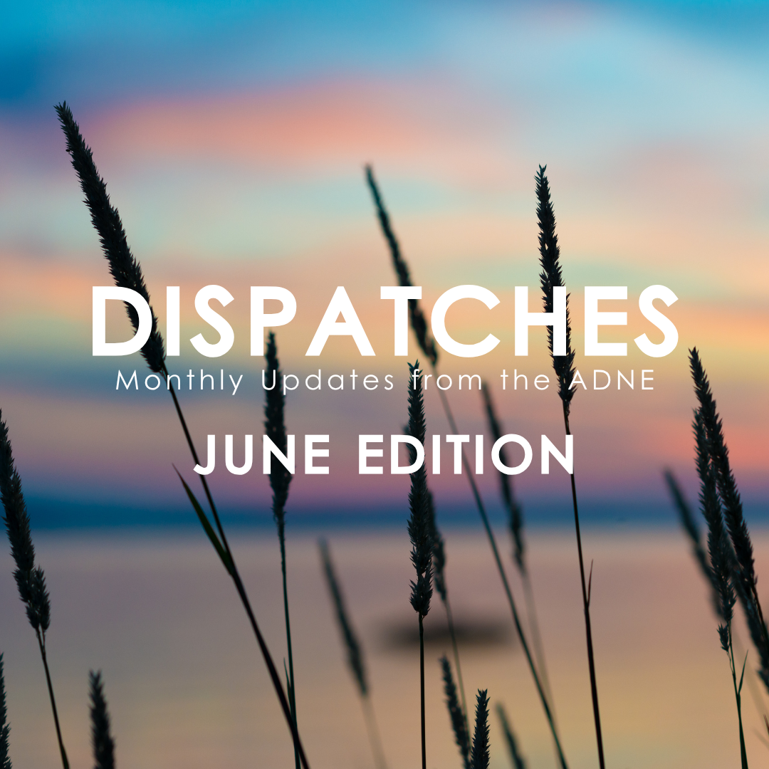 June Dispatches