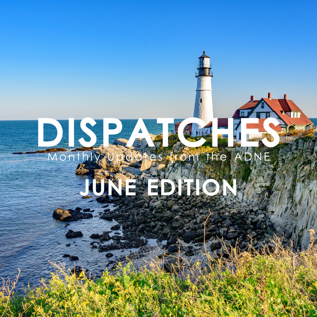 July Dispatches