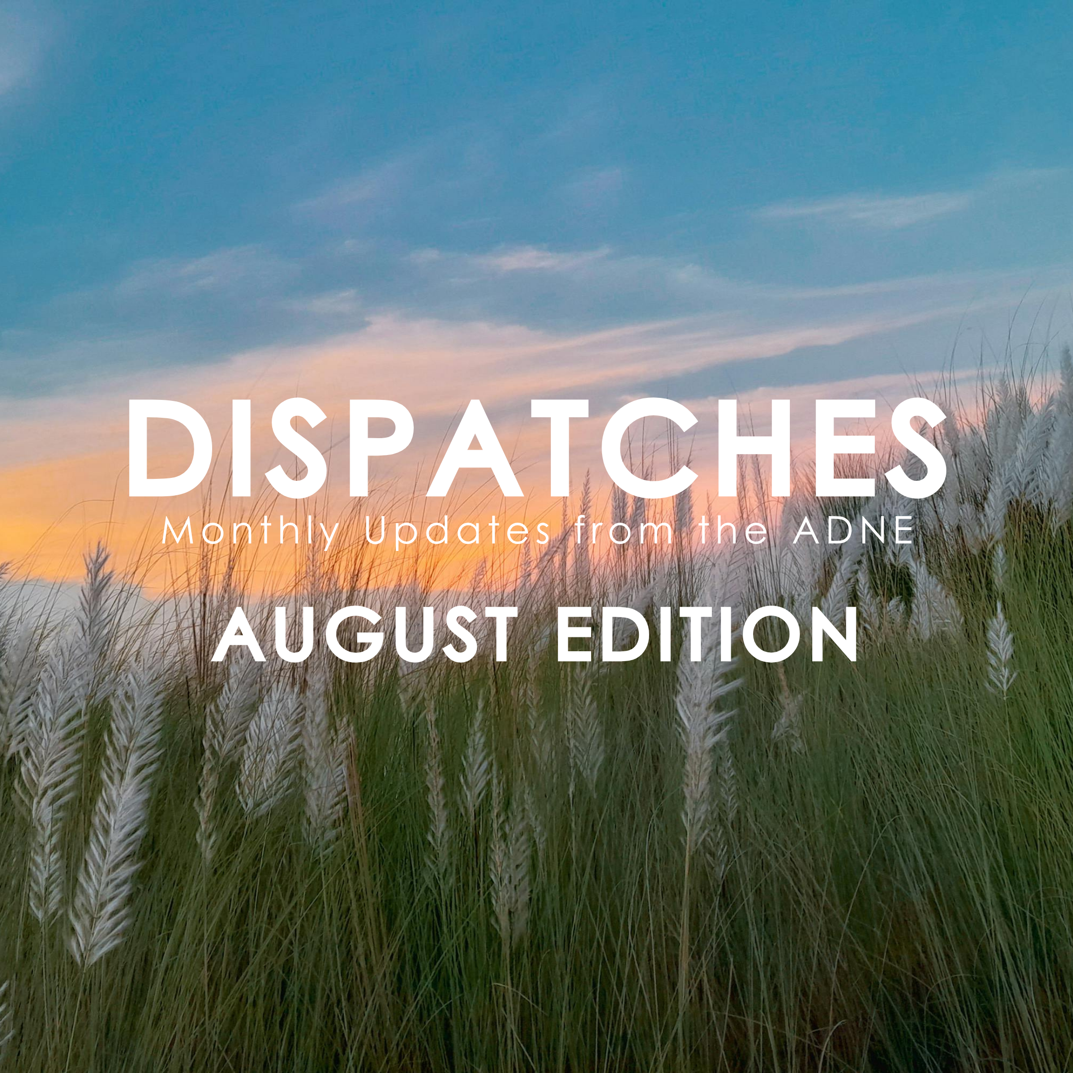 August Dispatches