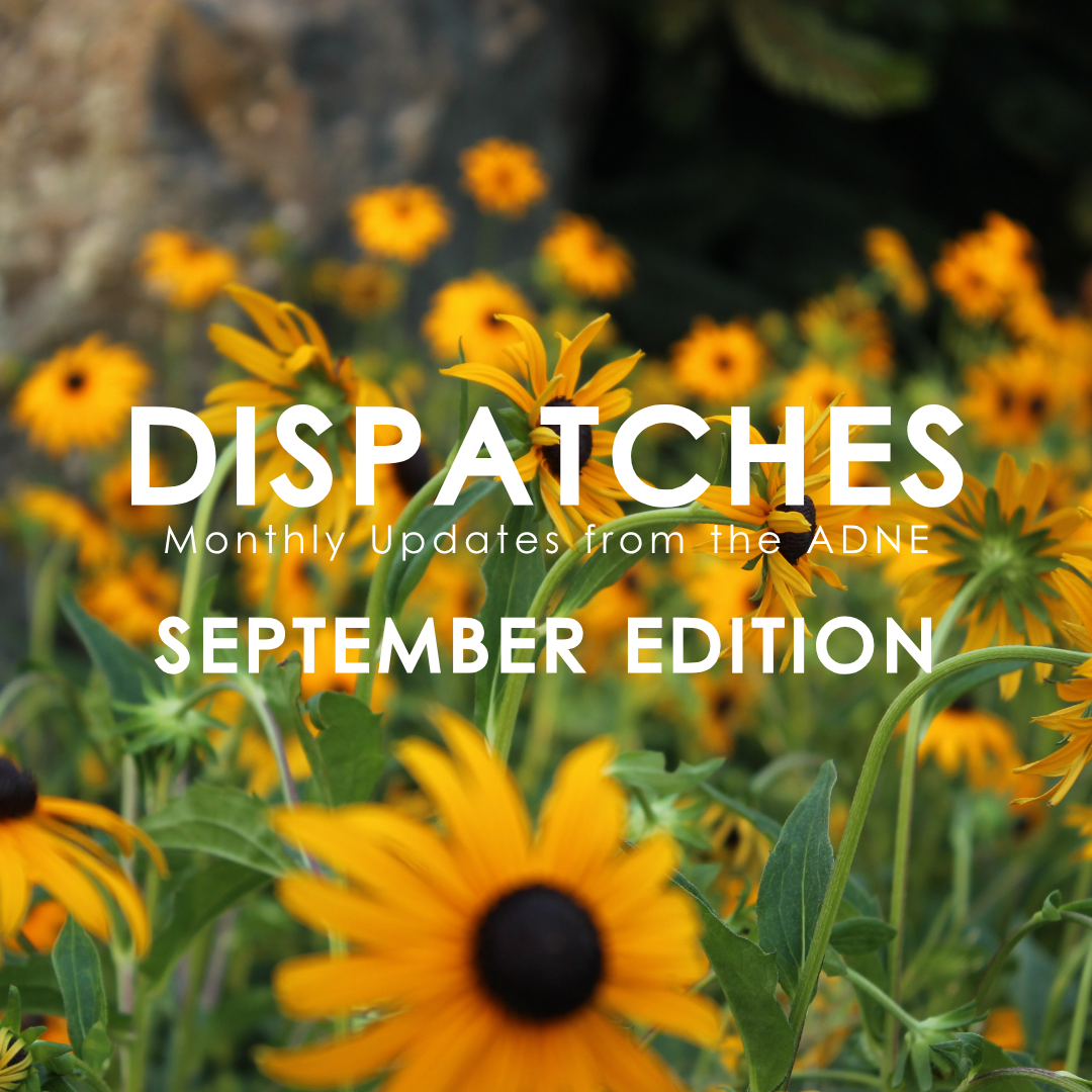 September Dispatches