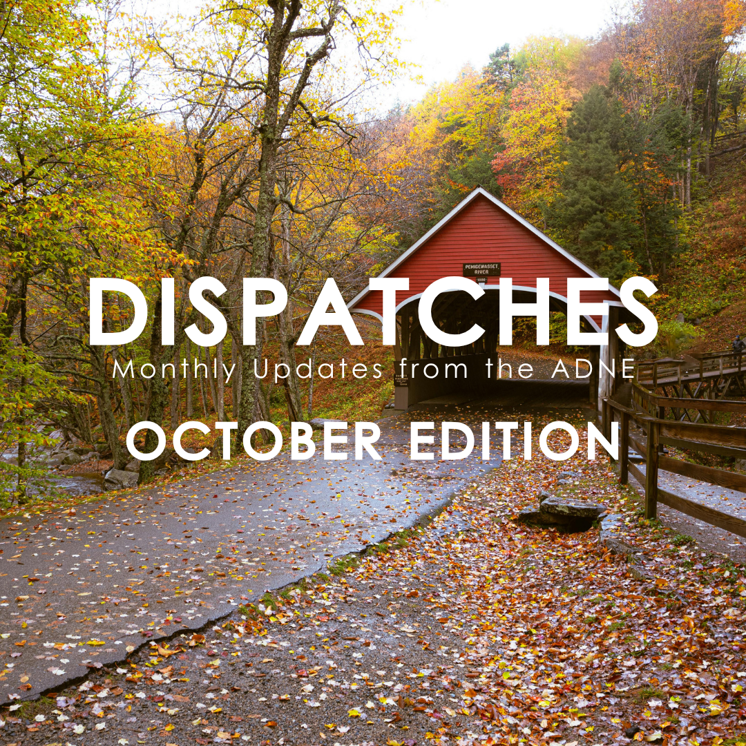 October Dispatches