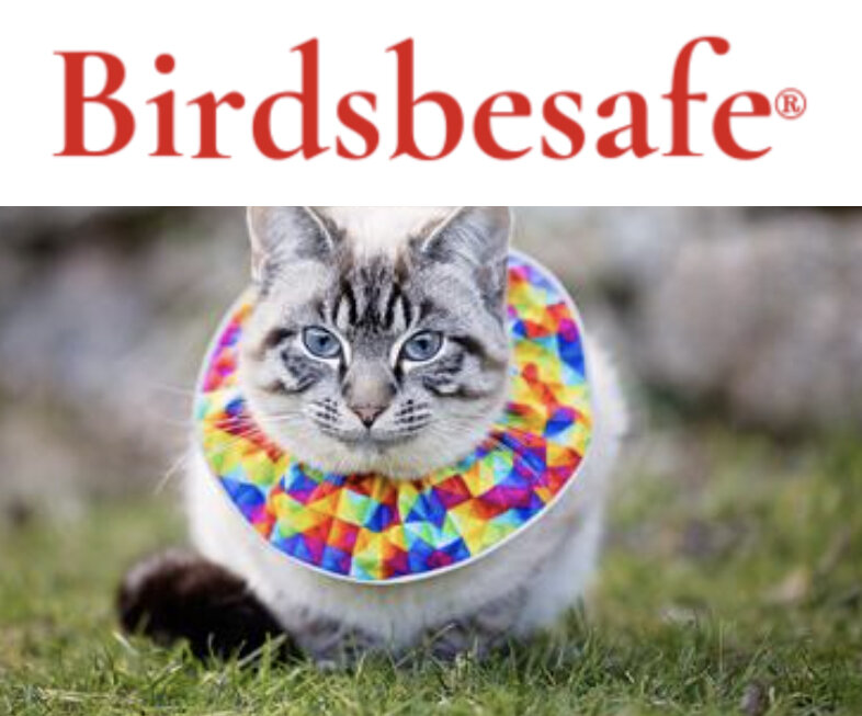 BirdsBeSafe.jpg