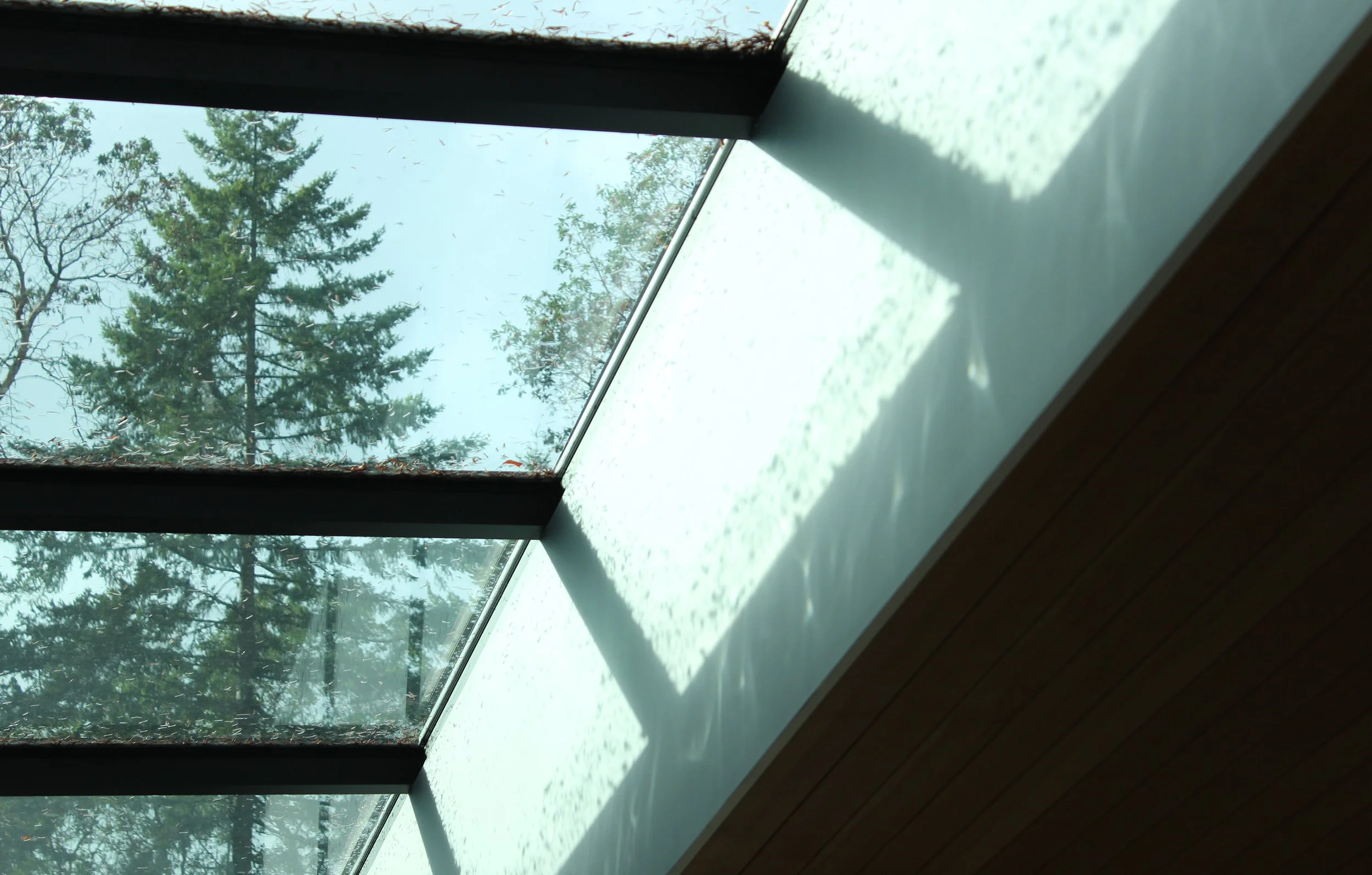 SKYLIGHT.jpg