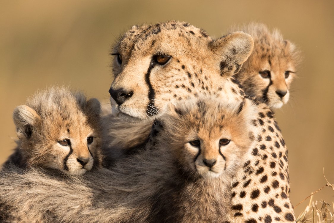 Tanzania_2018-219.JPG