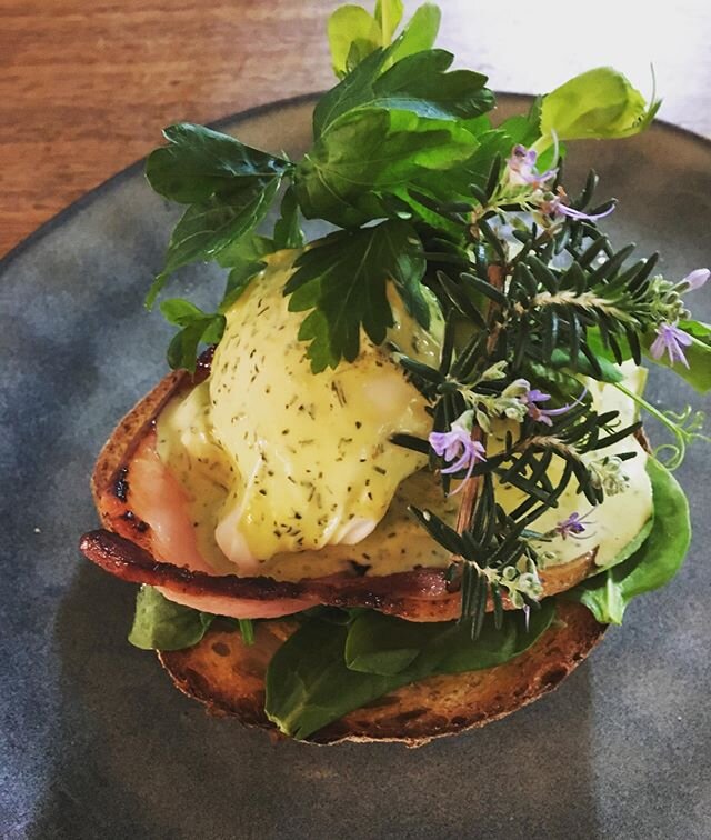 Benedict anyone??
Our chefs @chloe_henshaw and @cleo_fairyflosscloud are always on point - dishing out the prettiest of meals for your weekend brunch dates.
Book your table to avoid missing out with restricted seating.
#weekendfeels #brunchdates #ben