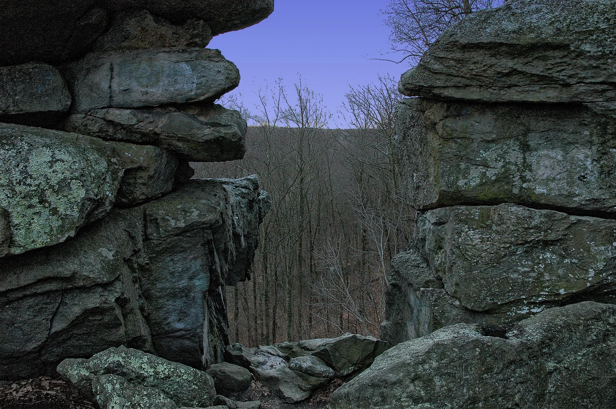 DSC_5574.JPG
