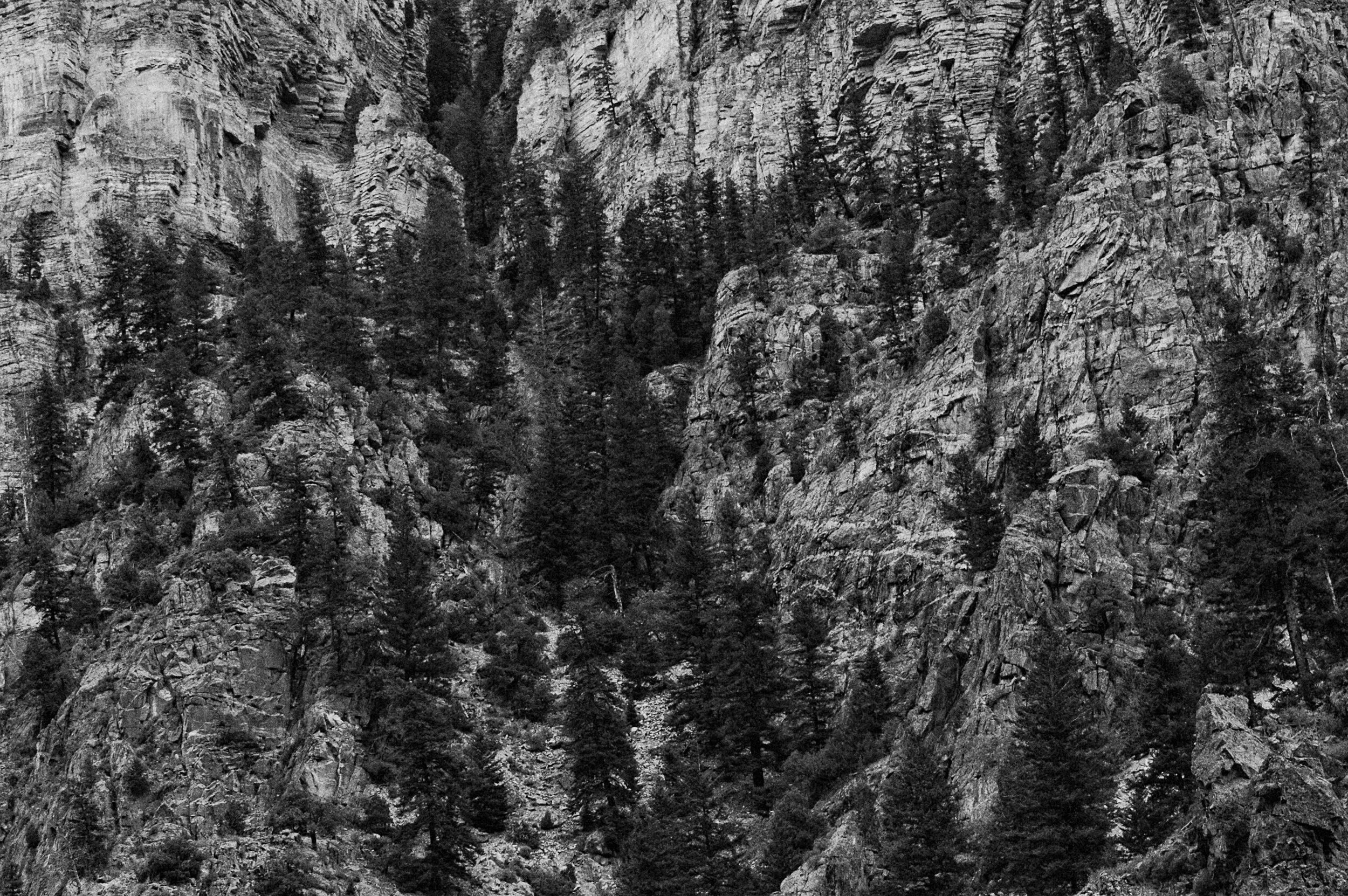 DSC_0136.JPG