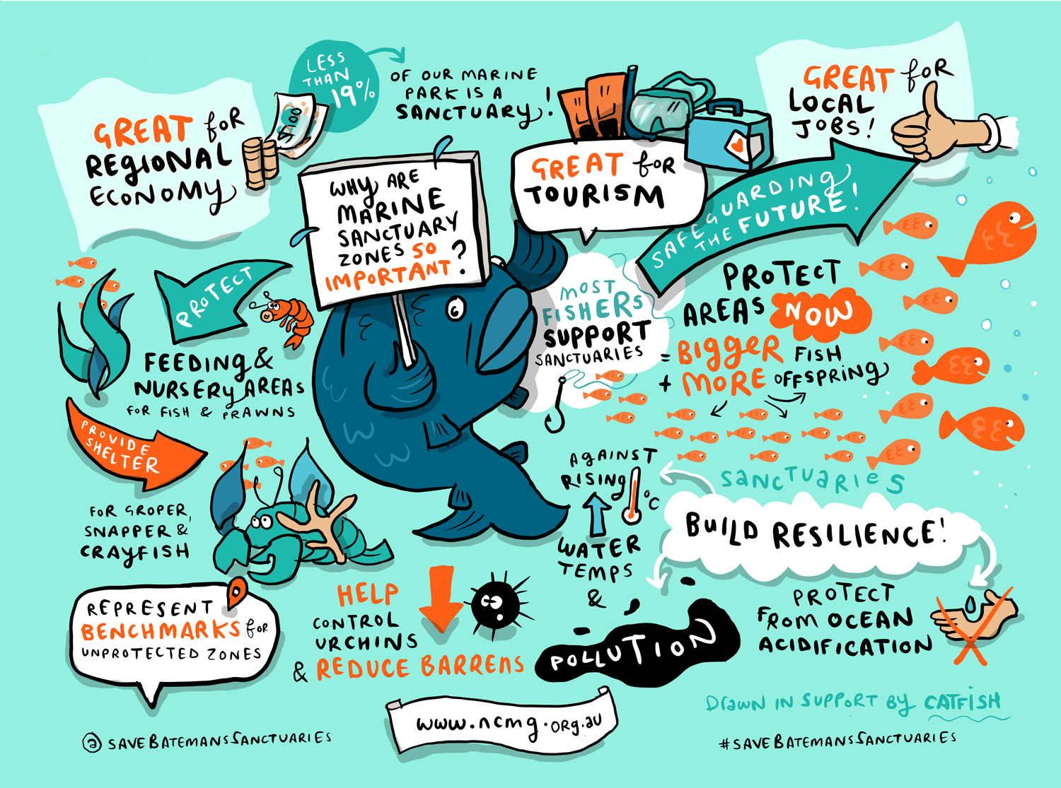 Marine-Sanctuaries-Illustration.png