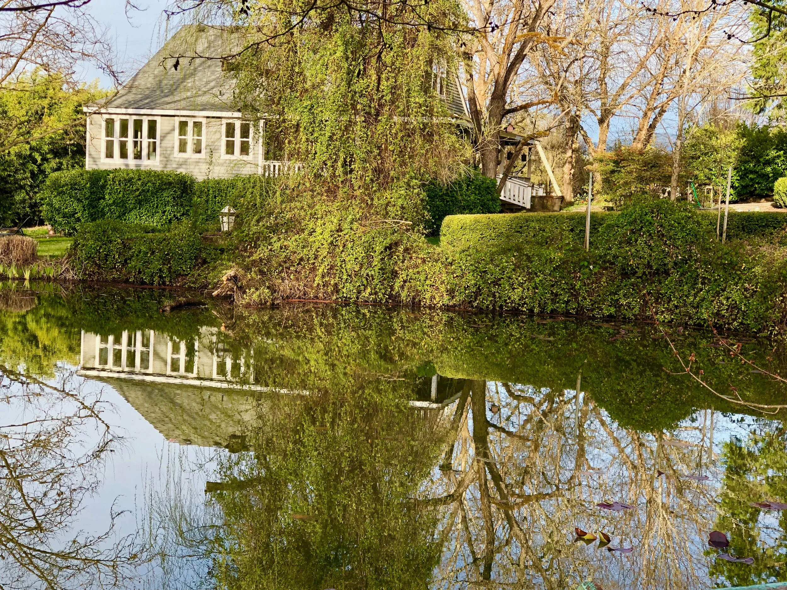 for shane house and pond clear water.JPG