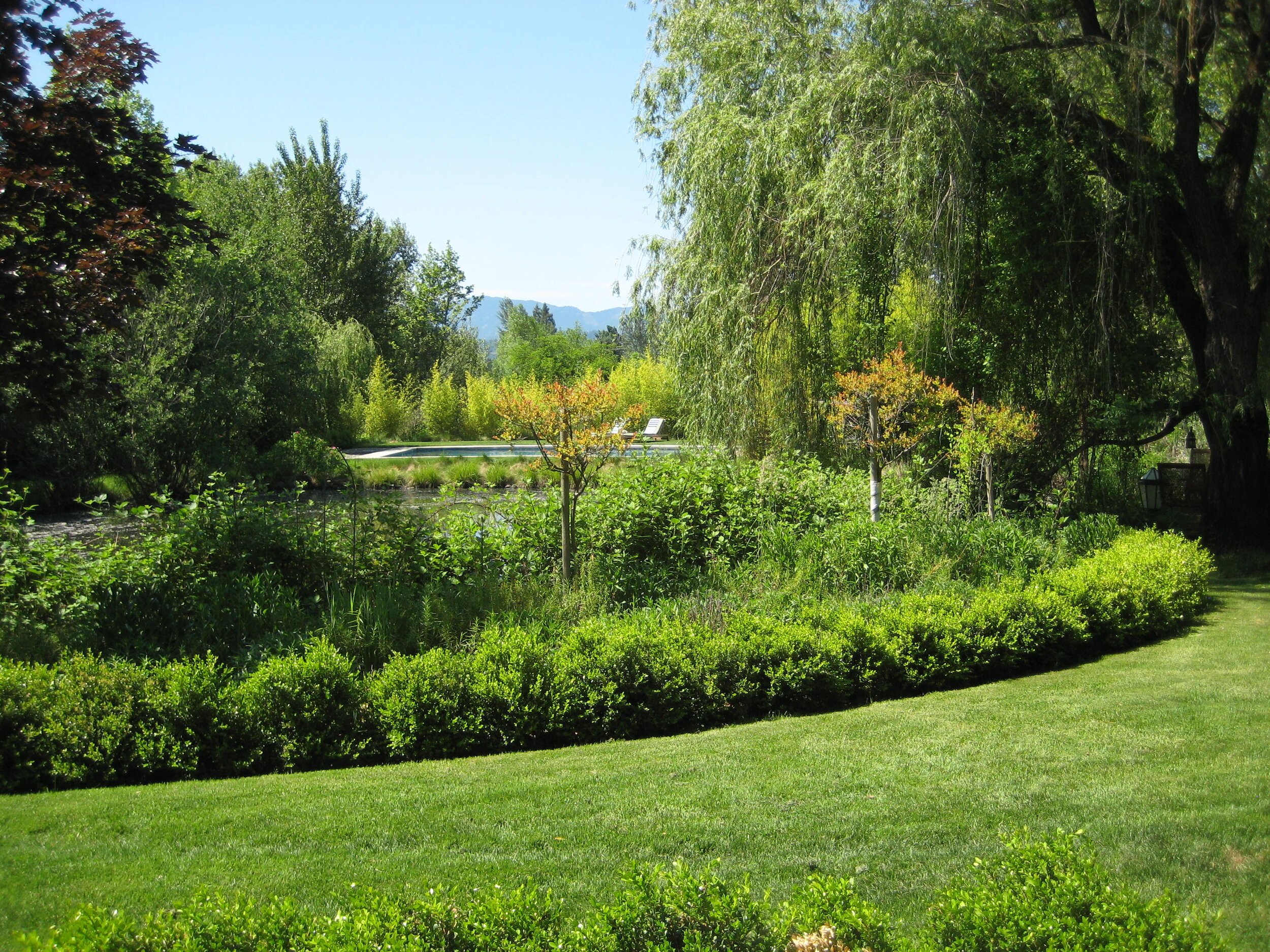 yard shooting toward pool.jpg