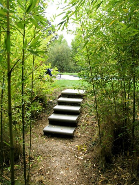 webpage new bamboo stairs old.jpg