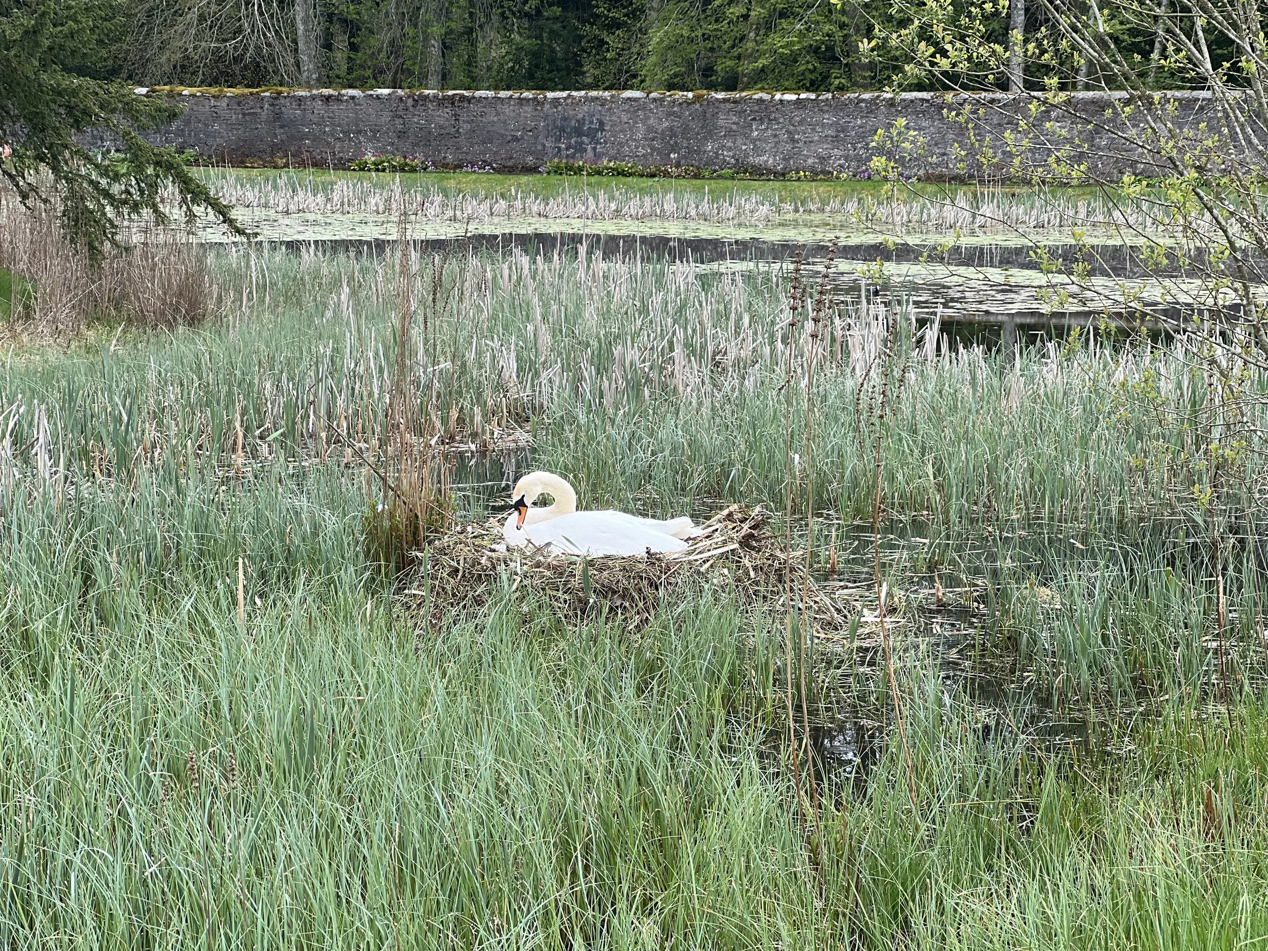 IMG_2793.jpg