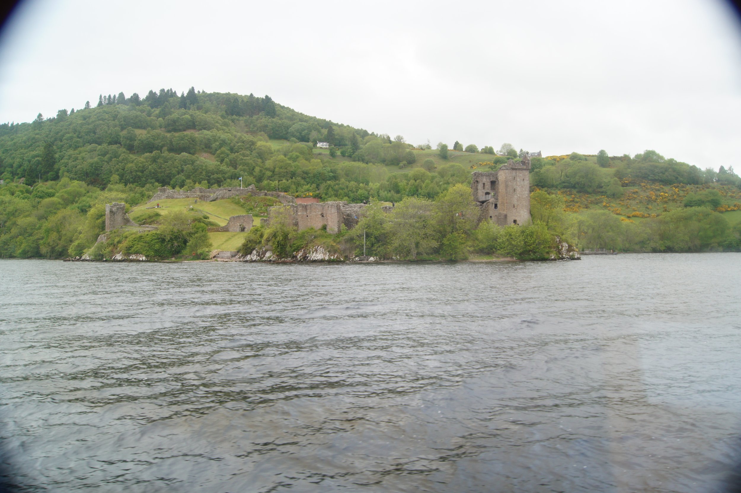 DSC08439.JPG