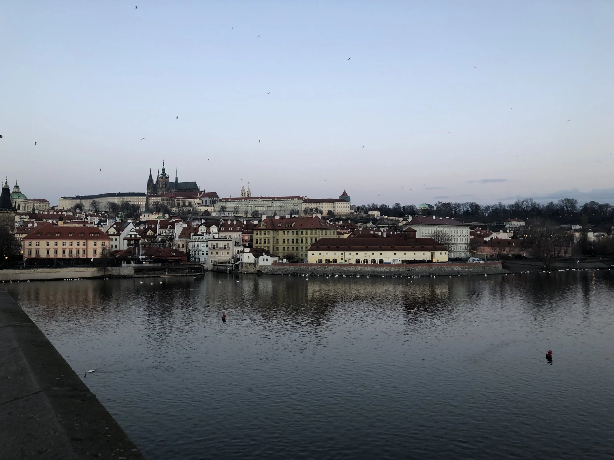 IMG_7416.JPG