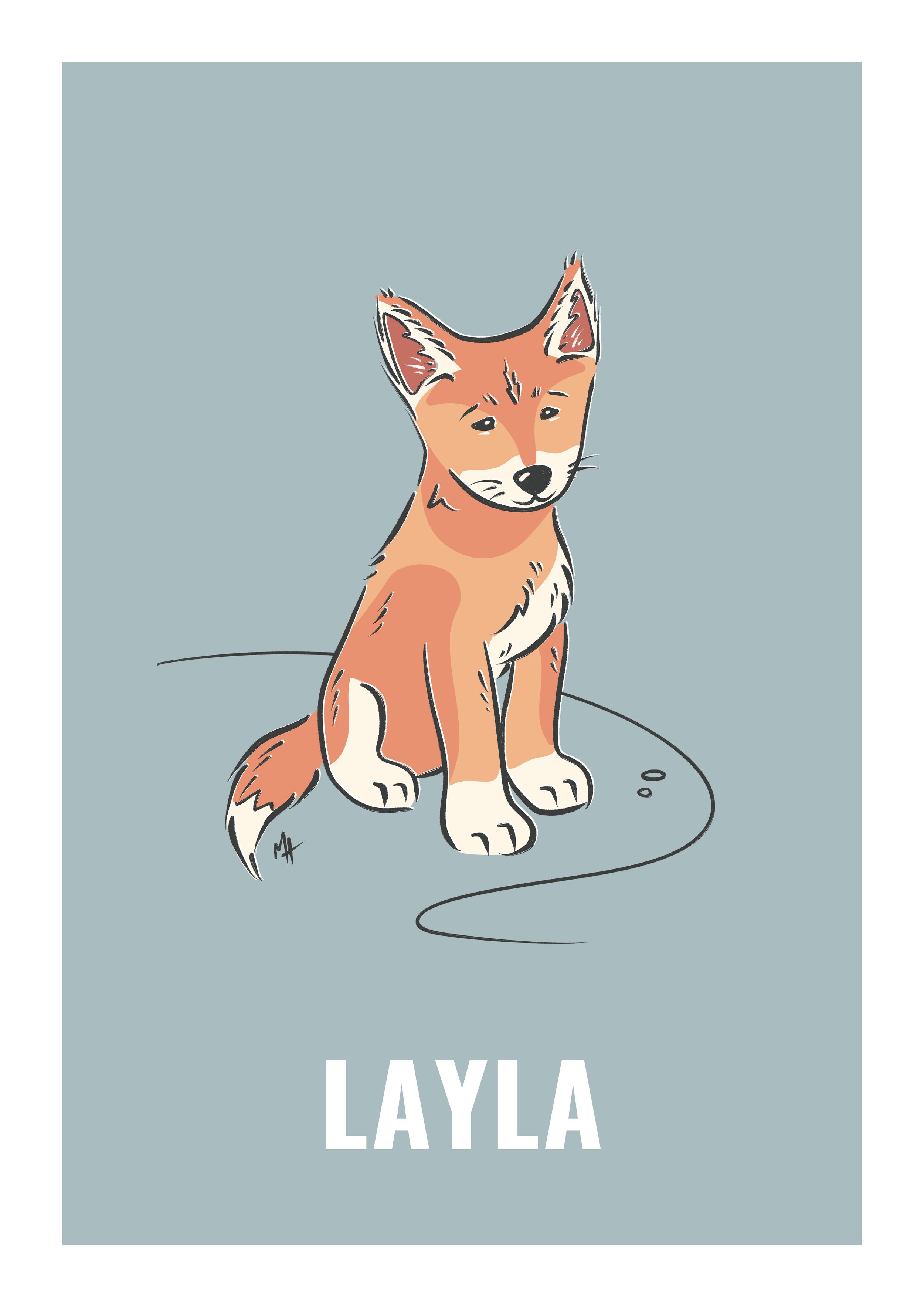 Dingo_Blue_Layla.jpg