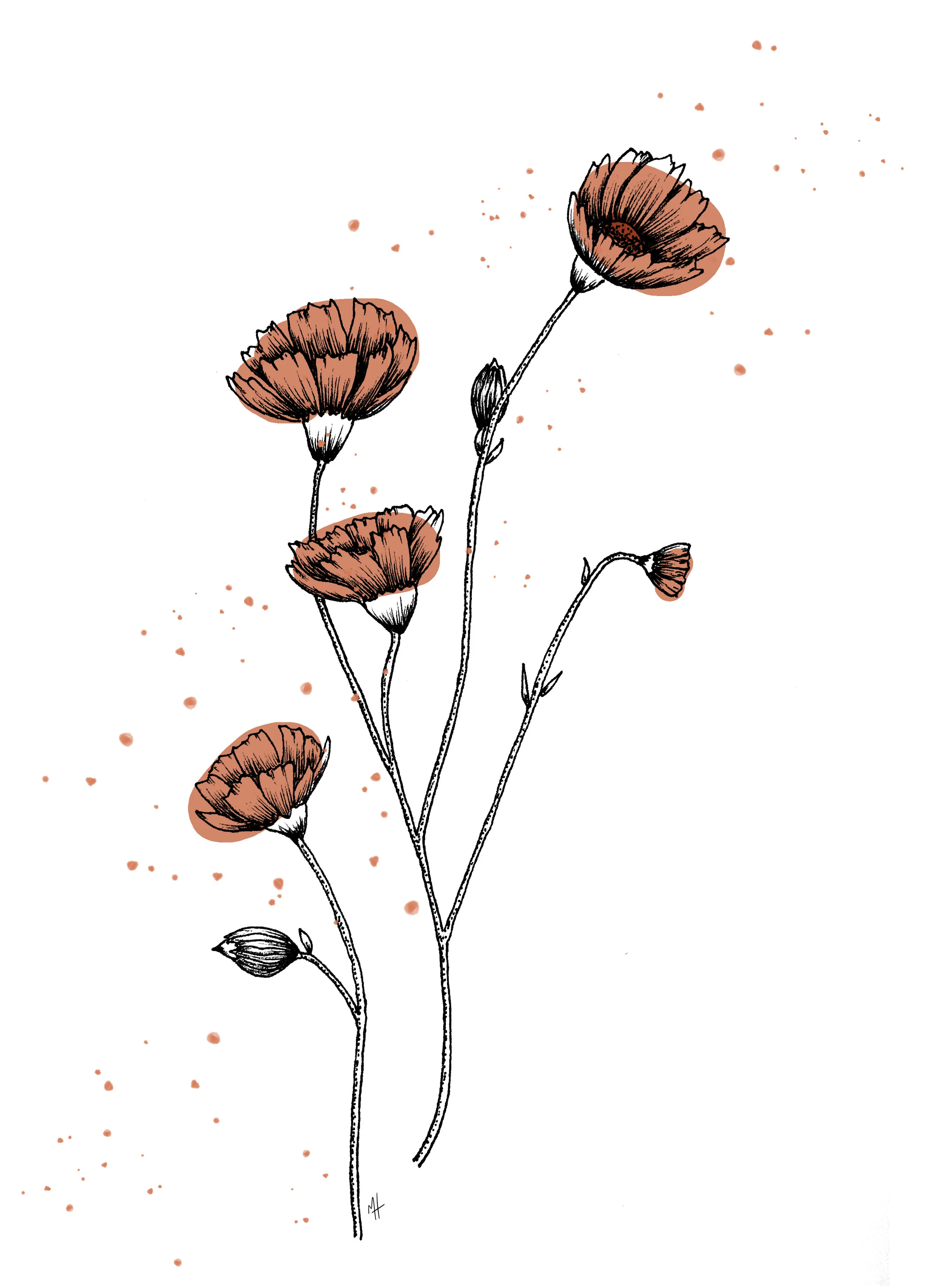 Wildflower02.jpg