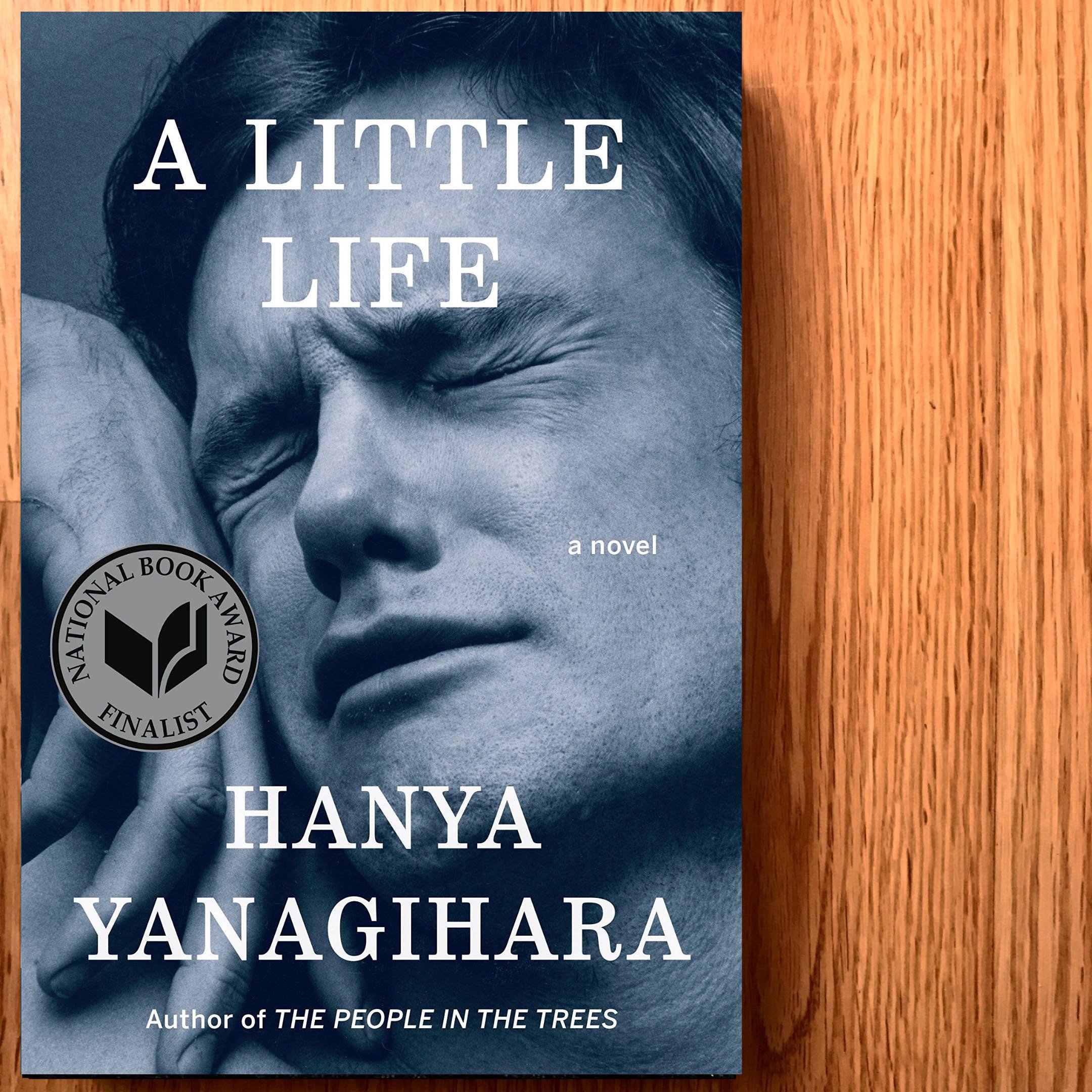 Book Review: A Little Life by Hanya Yanagihara — Cloud Lake Literary