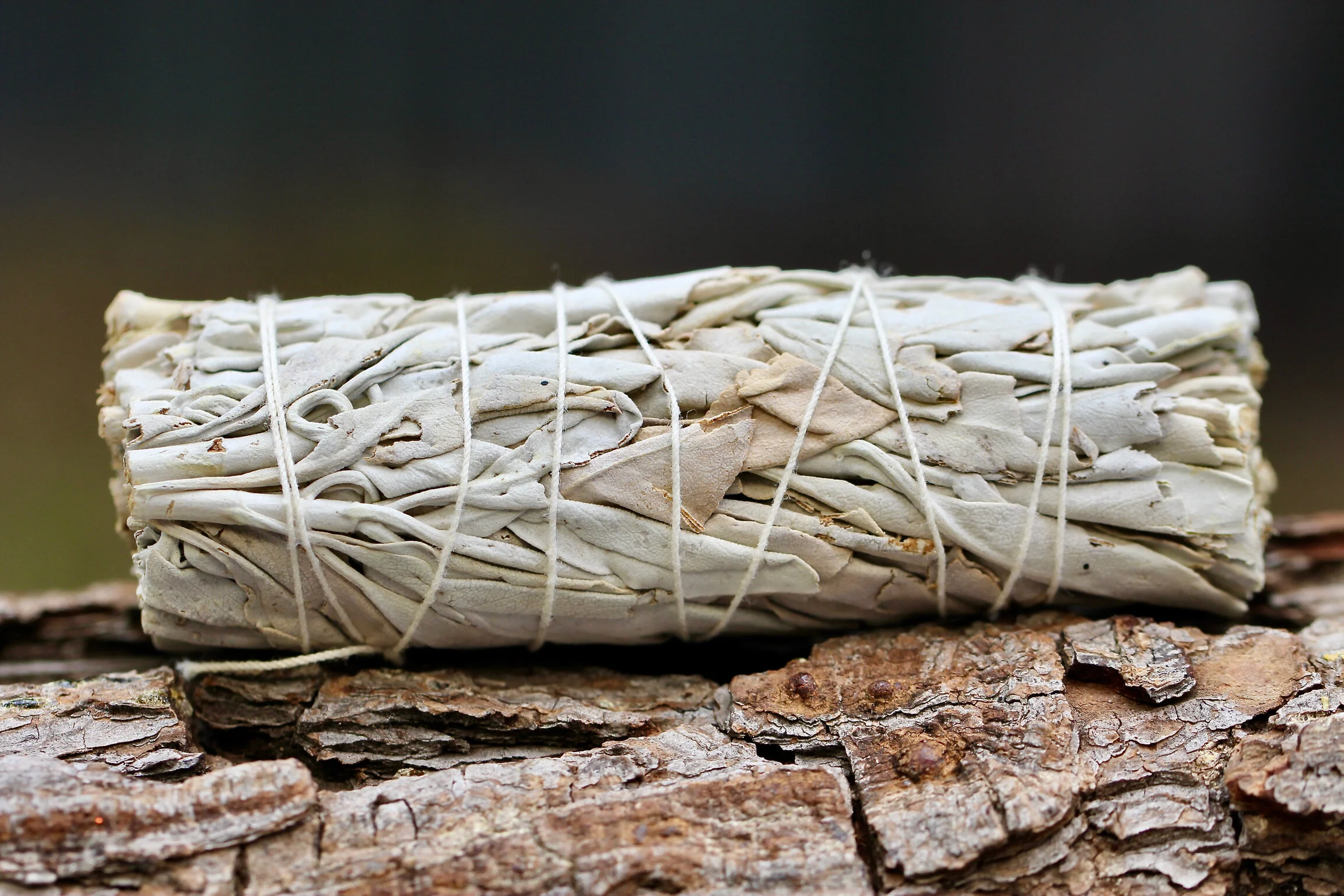 White Sage Smudge Stick