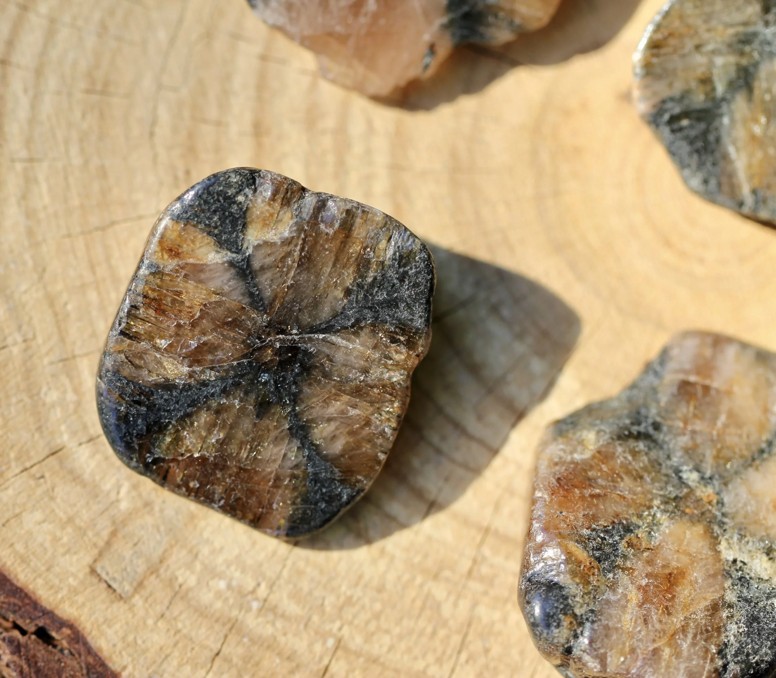Natural Chiastolite, Andalusite, Cross Stone