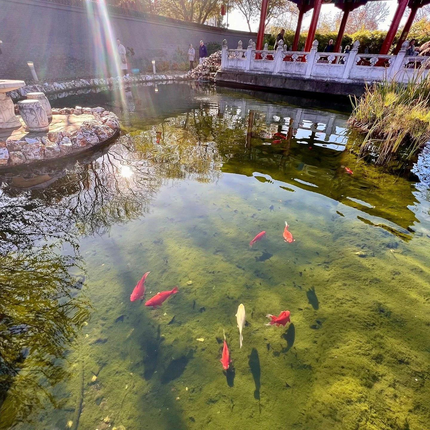 Many people contact me, because they feel they&rsquo;re being attacked energetically &mdash; by someone close to them, by the world around them, or by intense emotions that seem to come from nowhere. They often describe feeling too sensitive, drained