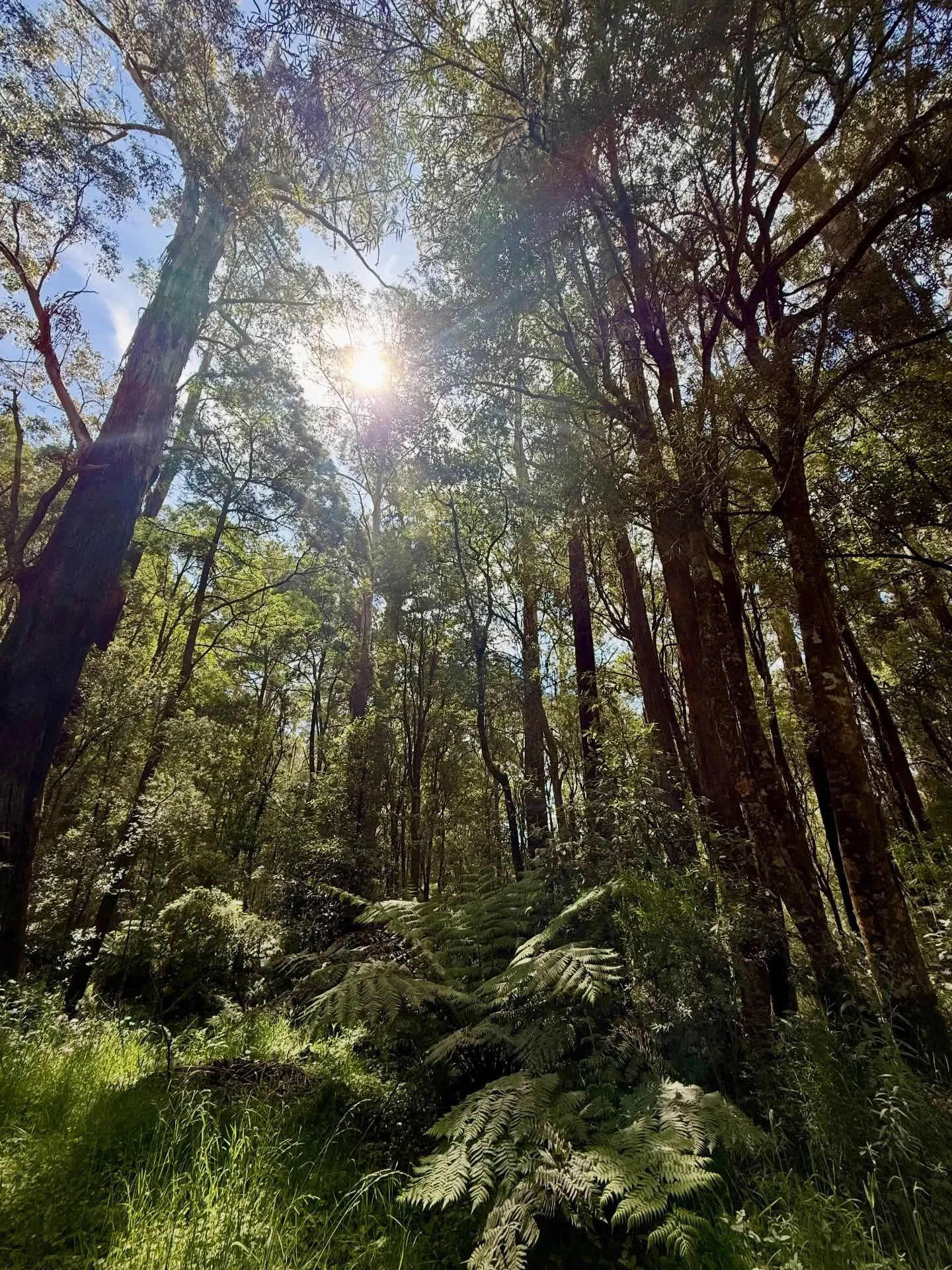 Life becomes much lighter when you understand that your job is not to control how others think, act, or feel.
Your job is to stay rooted in who you are, act with integrity, stay devoted to your growth, and let go of EVERYTHING that isn&rsquo;t yours 